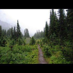 Meet your Posher, Ann